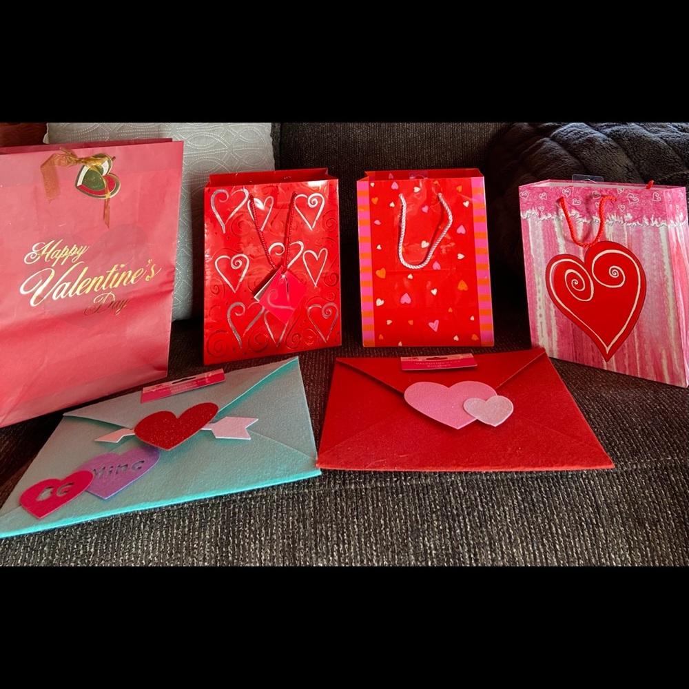 NWT Lot (6) Valentine Gift Bags, Assorted